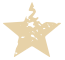 Star big